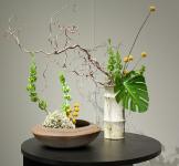 12 - Claire McCaughey.jpg 4.7K